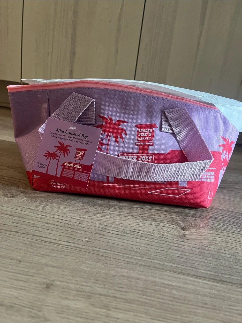 Trader Joe’s Purple and Pink Insulated Lunch Bag